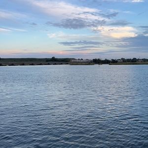 Meet your Posher, Stella